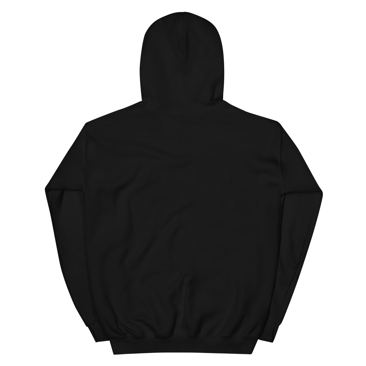 Voltaic Foundations Unisex Hoodie