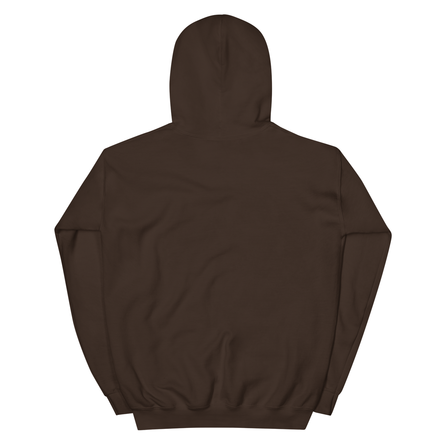 Voltaic Foundations Unisex Hoodie
