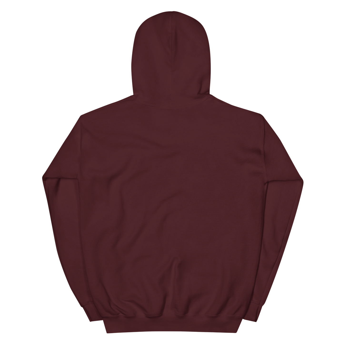 Voltaic Foundations Unisex Hoodie