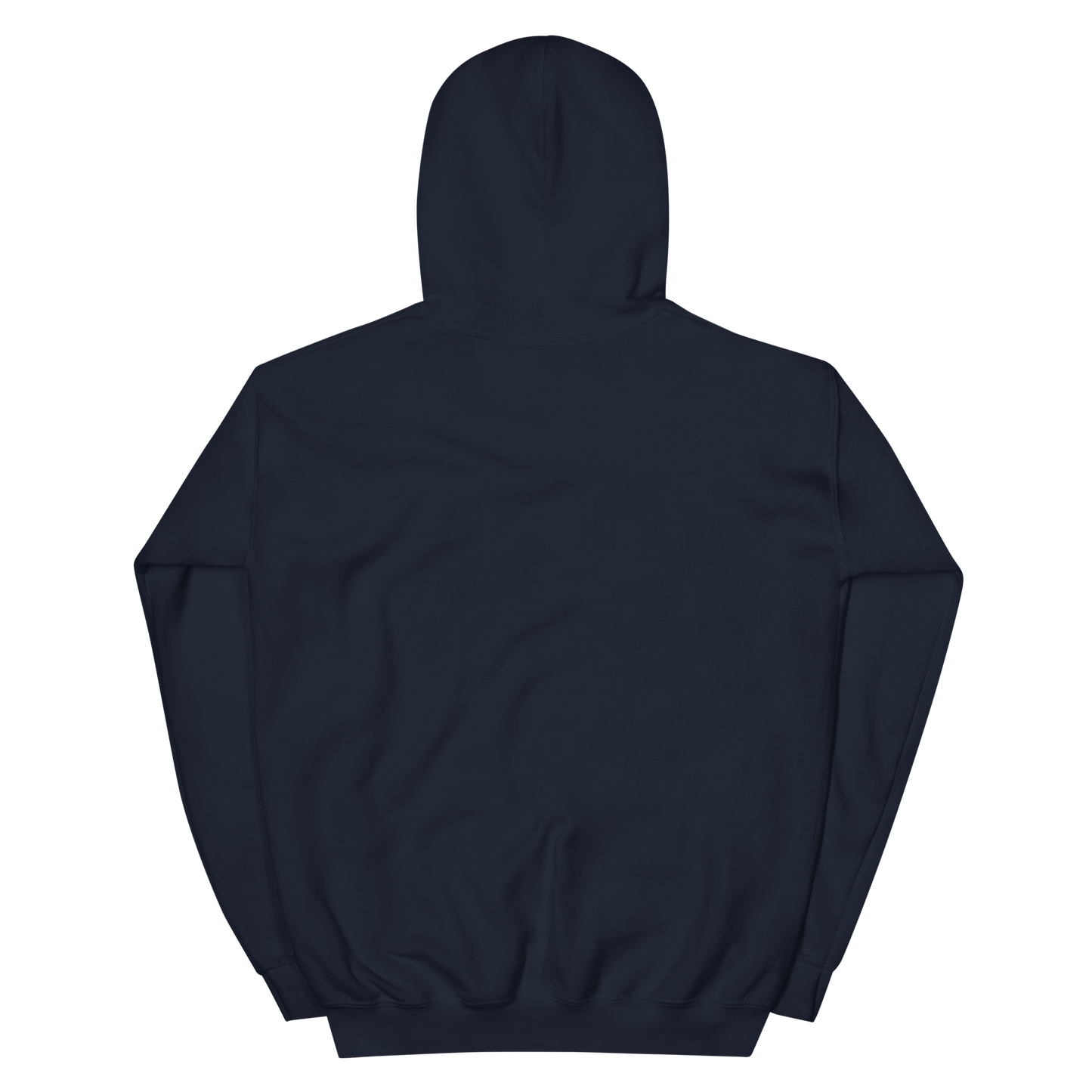 Voltaic Foundations Unisex Hoodie