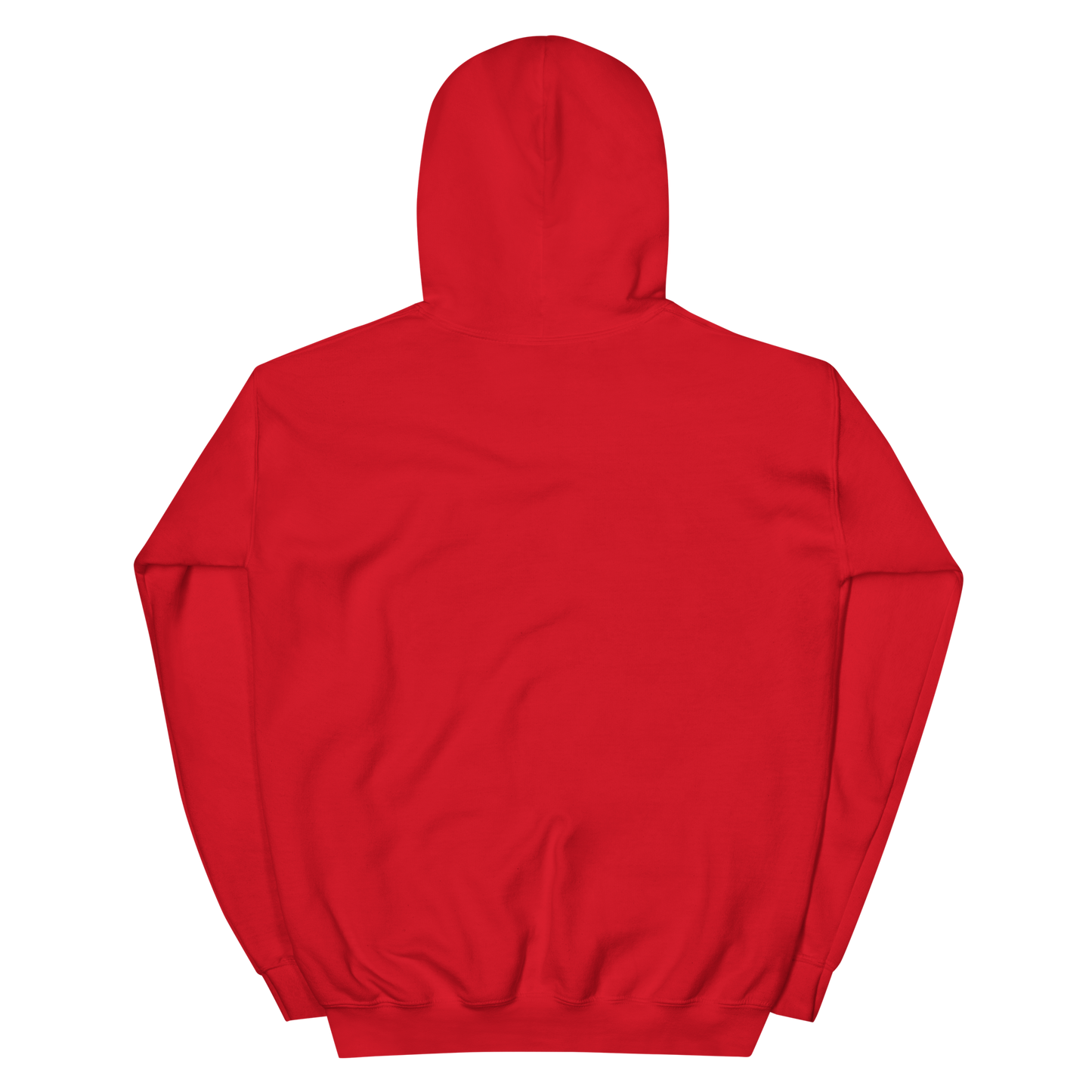 Voltaic Foundations Unisex Hoodie