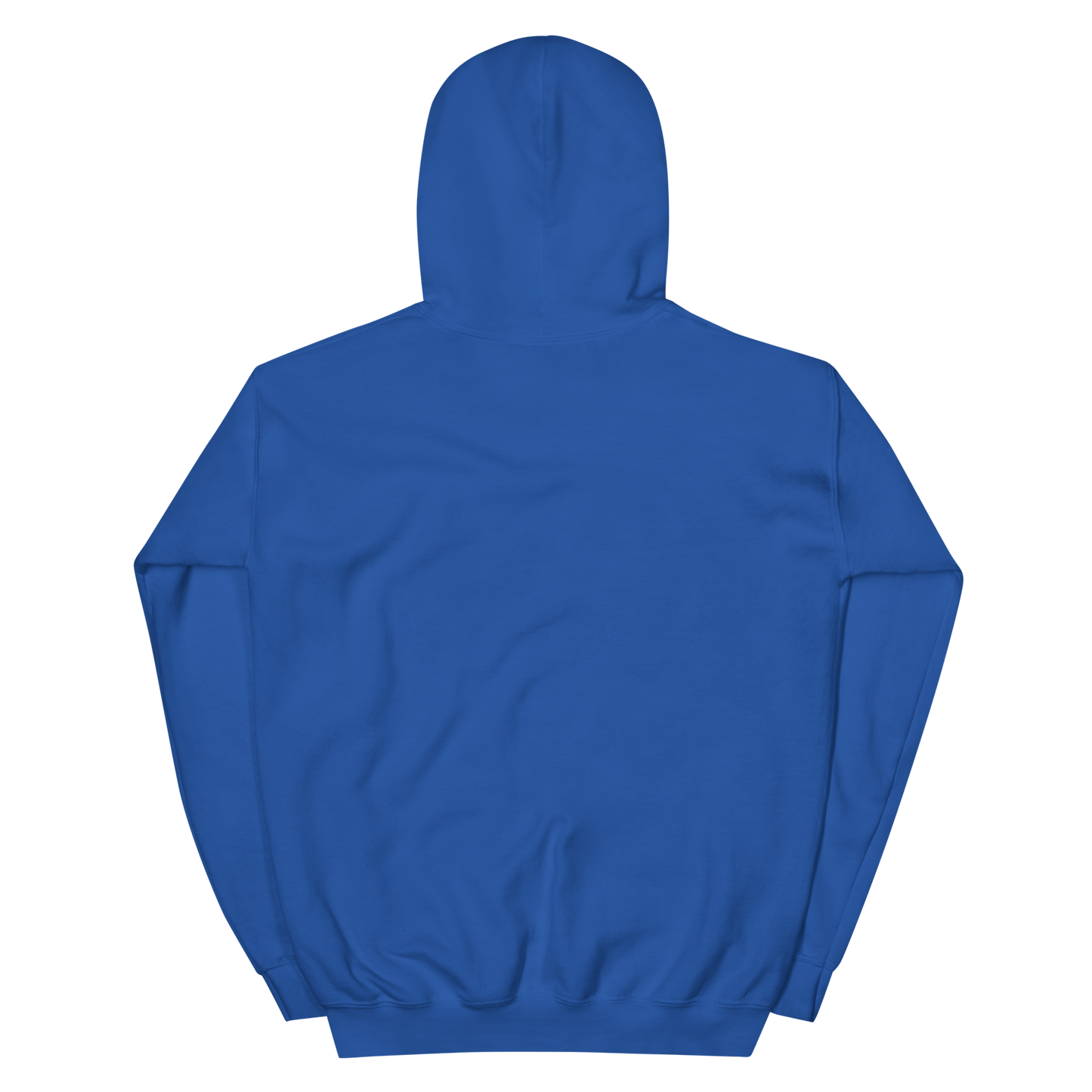 Voltaic Foundations Unisex Hoodie