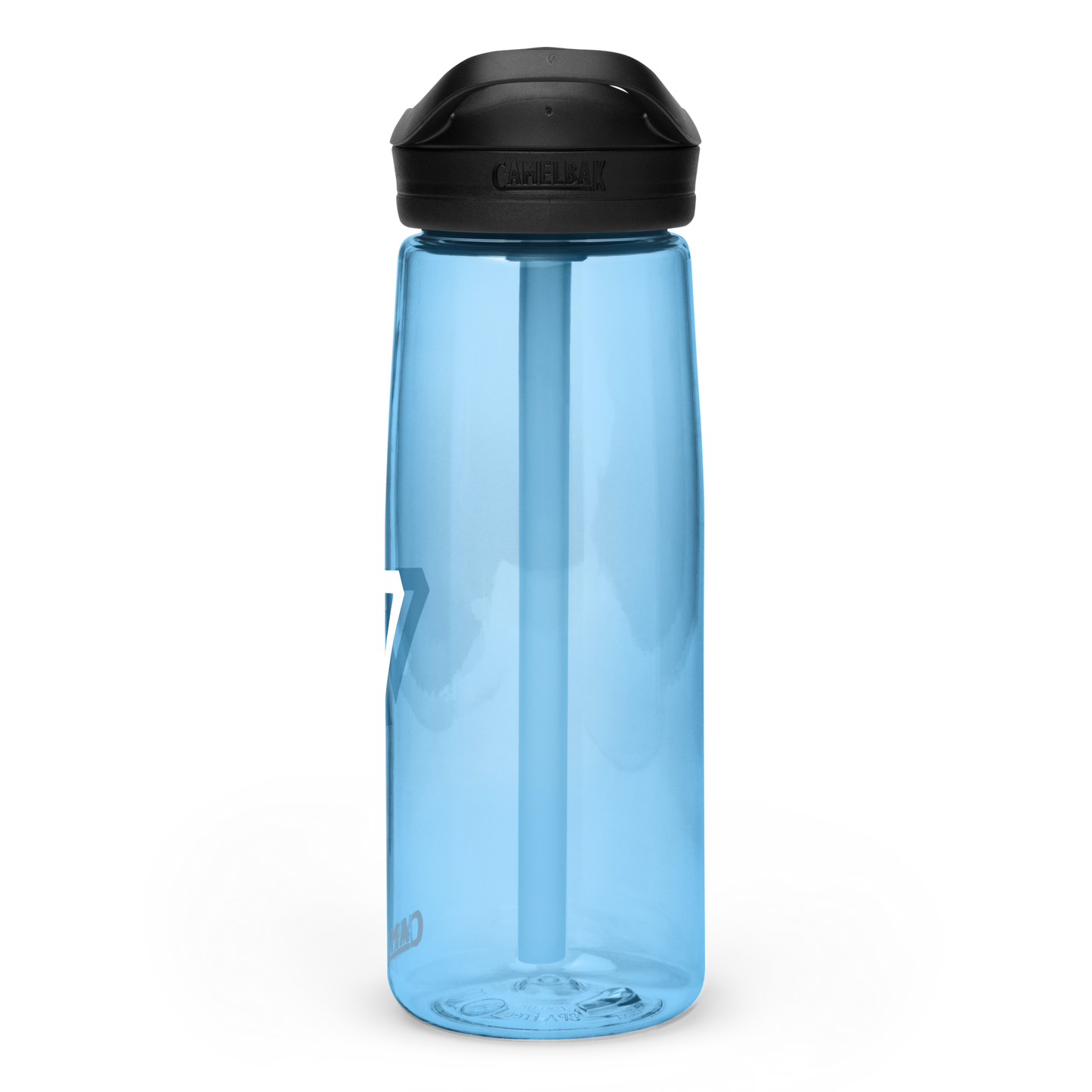 Voltaic Camelbak water bottle