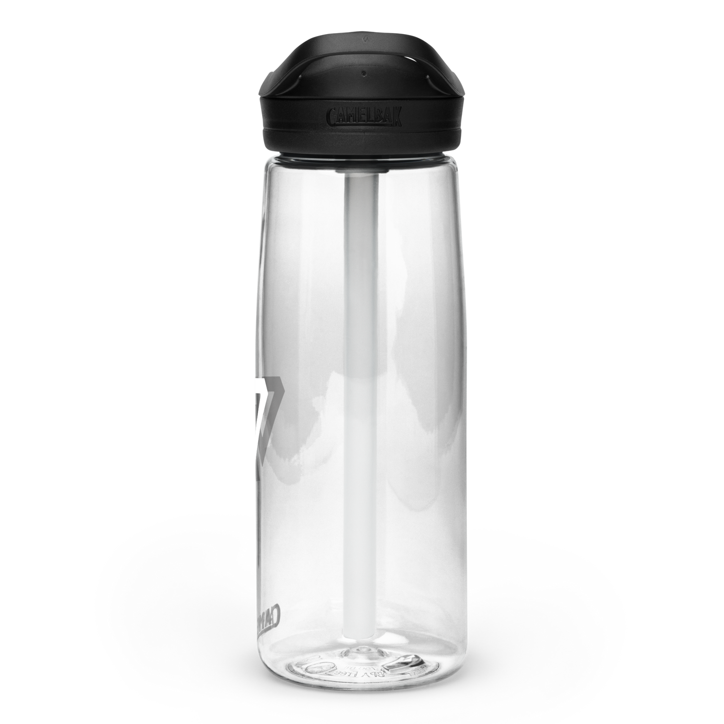 Voltaic Camelbak water bottle