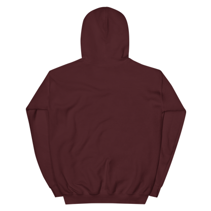 Voltaic Foundations Unisex Hoodie