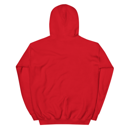 Voltaic Foundations Unisex Hoodie